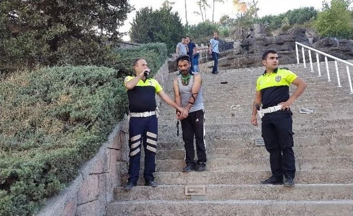 Tartıştığı Şahıslara Kızıp &Ccedil;am Ağa&ccedil;larını Yaktı