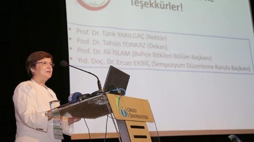 T&uuml;rkiye Sebze &Uuml;retiminde Geride Kaldı