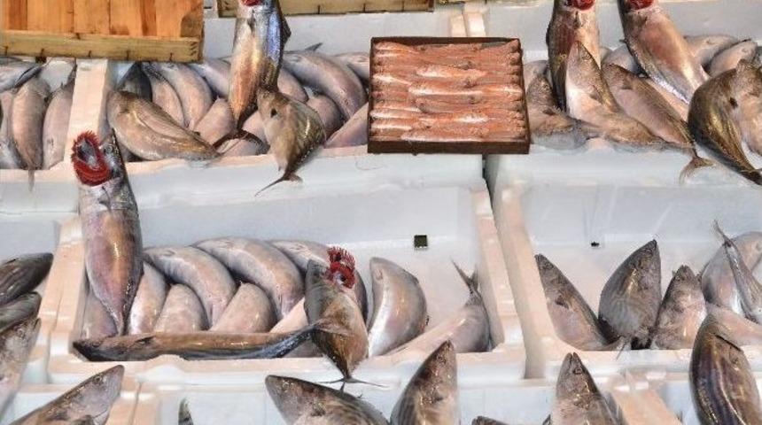 Bandırma&rsquo;da Balık Fiyatları Ucuzladı
