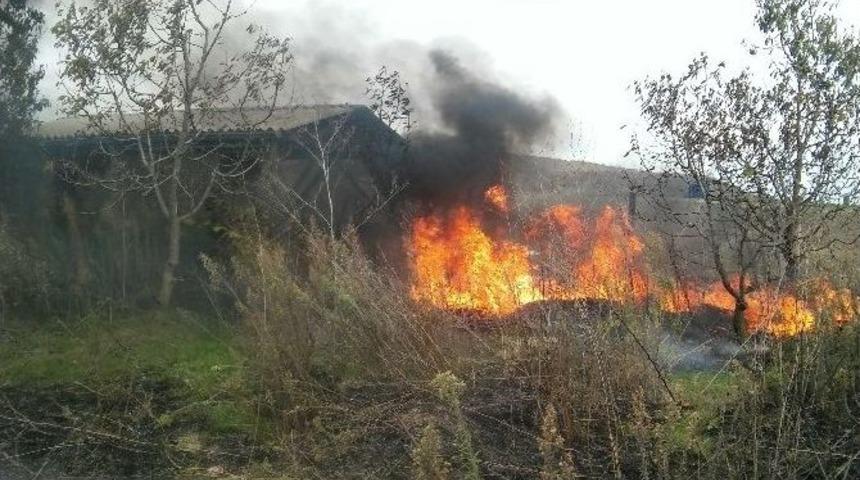 Ceviz Bah&ccedil;esinde &Ccedil;ıkan Yangın Korkuttu