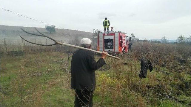 Ceviz Bahçesinde Çıkan Yangın Korkuttu