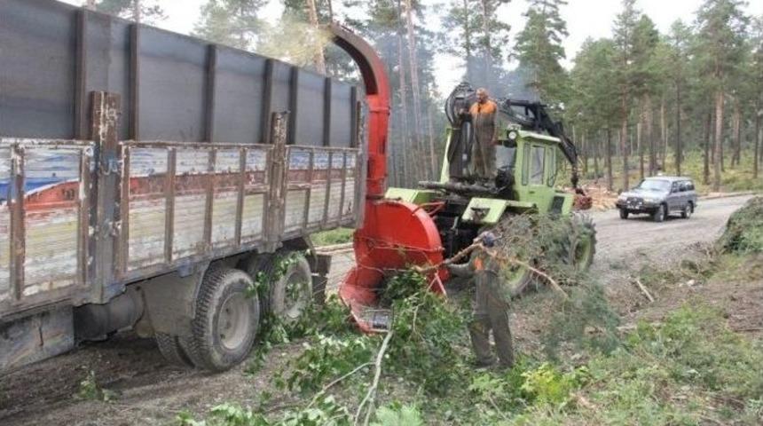 Orman Gen&ccedil;leştirme &Ccedil;alışmalarında Ekonomiye Katkı