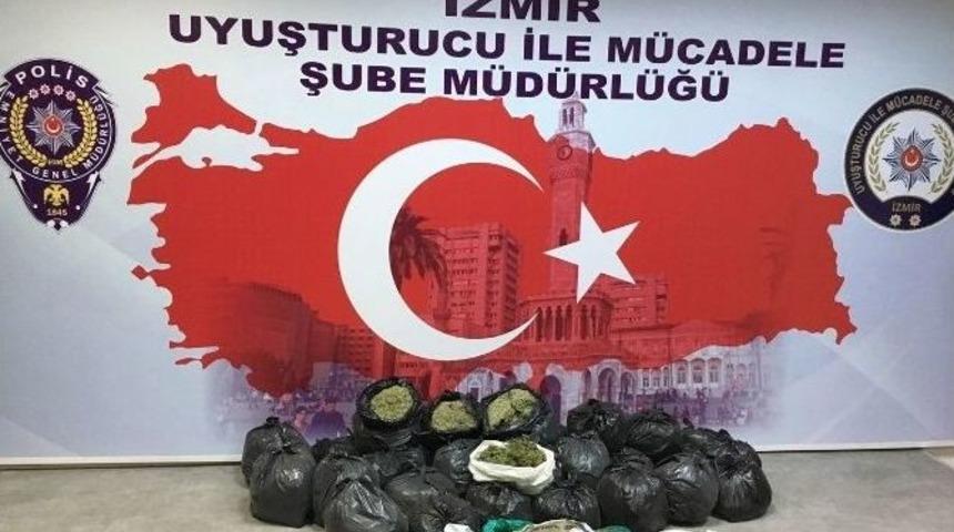 İzmir&rsquo;de 70 Kilo Bonzai Ele Ge&ccedil;irildi
