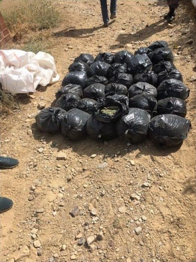 İzmir&rsquo;de 70 Kilo Bonzai Ele Ge&ccedil;irildi 3