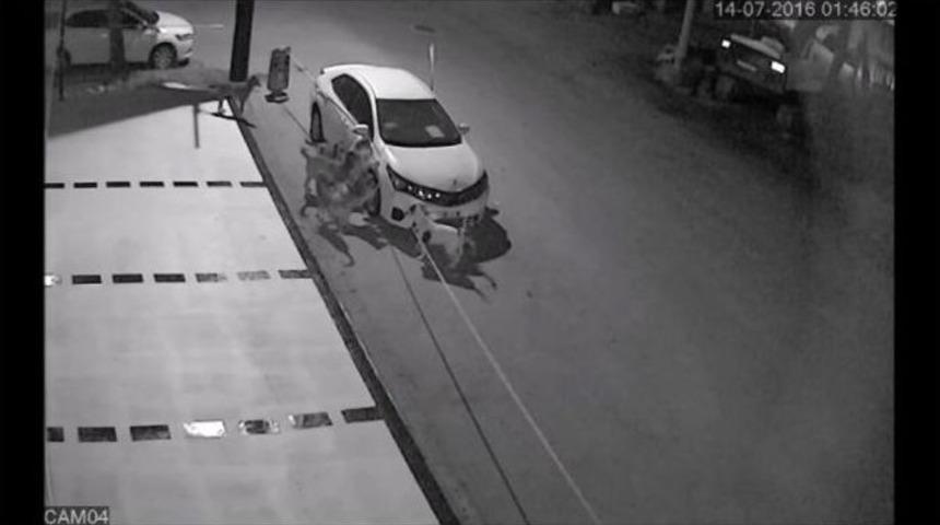 Sokak K&ouml;pekleri Otomobilin Tamponunu Par&ccedil;aladı