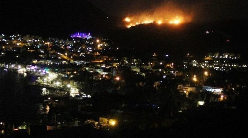 Bodrum&rsquo;da 5 Hektarlık Alan K&uuml;l Oldu