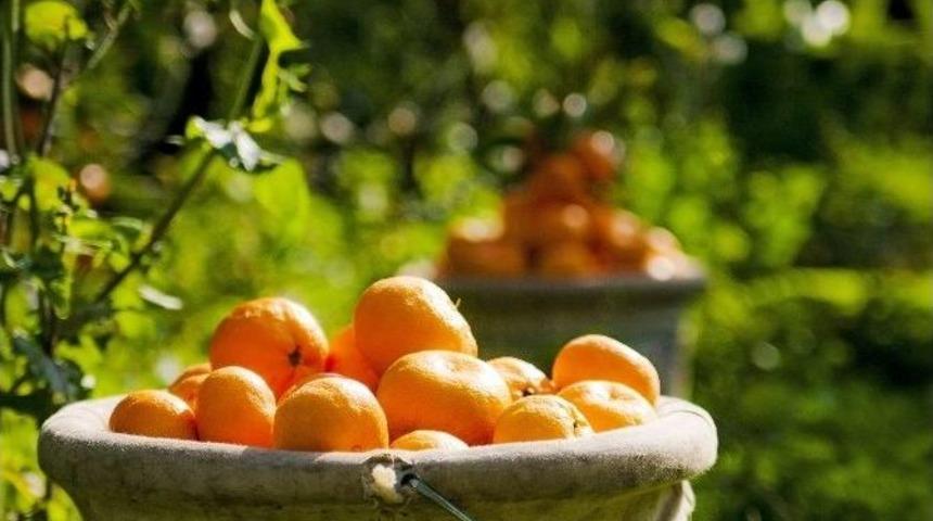 Ekonomiye Yeniden Rusya Dopingi