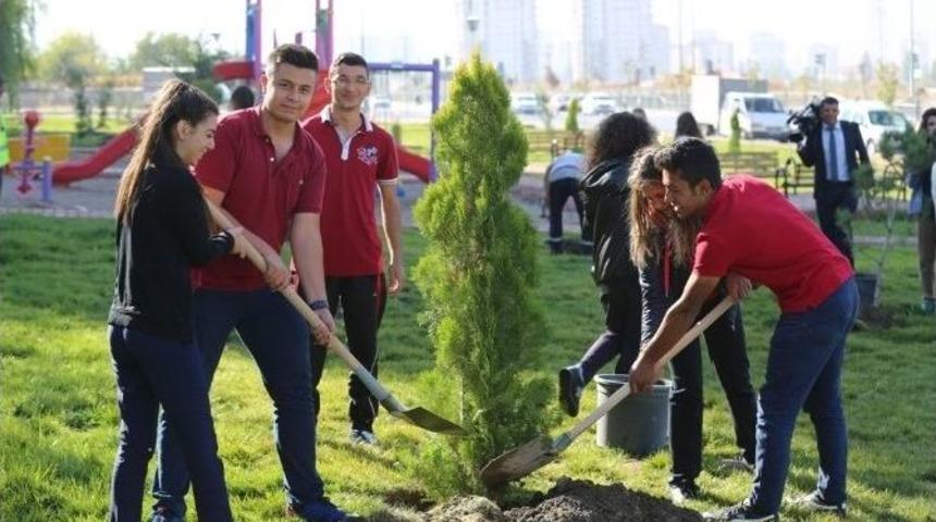 Konaklar Mahallesinde 500 &Ccedil;am Fidanı Dikildi
