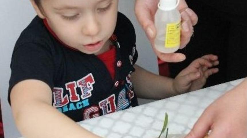 Miniklerden Birbirinden Sevimli Kapı S&uuml;sleri