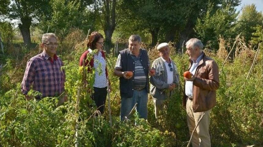 Tepebaşı Sebze Ve Meyve &Uuml;reticilerini Bilgilendirdi