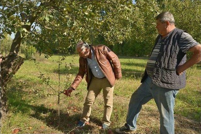 Tepebaşı Sebze Ve Meyve Üreticilerini Bilgilendirdi 1