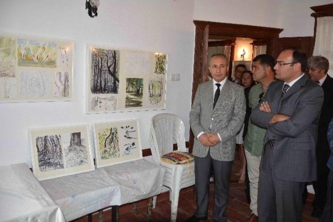 T&uuml;rk Ve İngiliz Sanat&ccedil;ılar Anadolu Sığla Ağa&ccedil;larını Resmetti