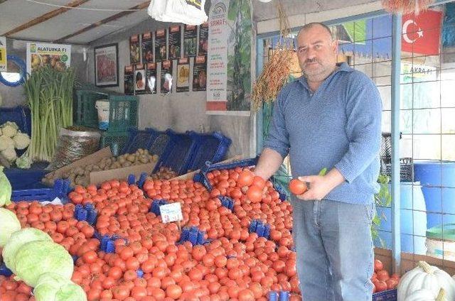 Sebzede Hasat Yılı Sonu