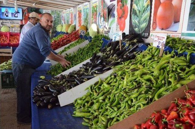 Sebzede Hasat Yılı Sonu