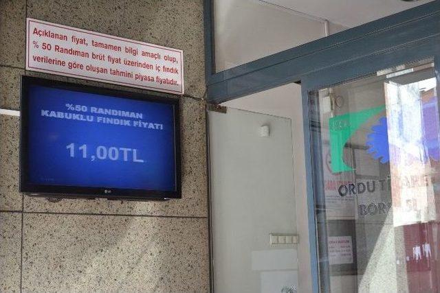 Fındık &Ccedil;akıldı, &Uuml;reticili Tepkili 1