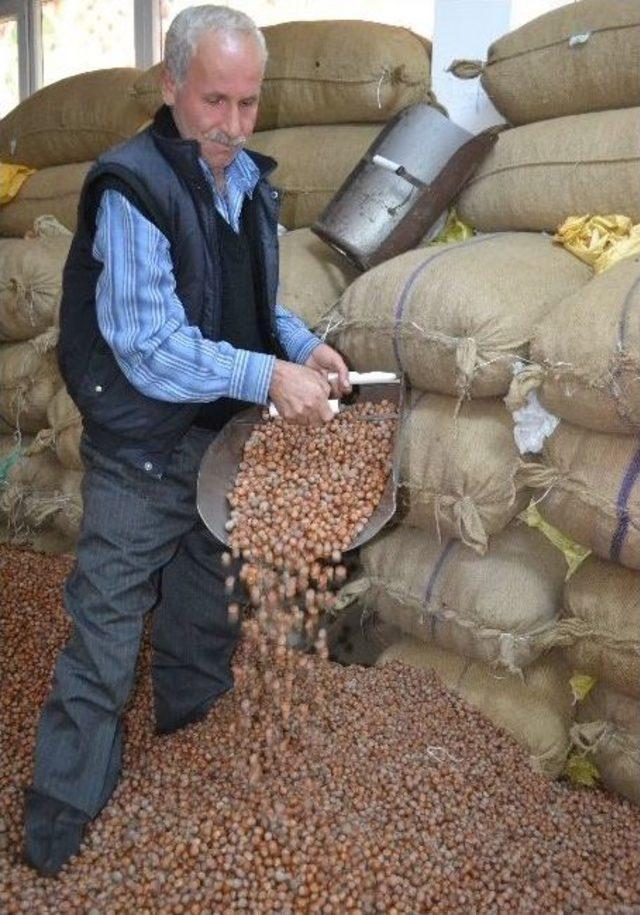 Fındık &Ccedil;akıldı, &Uuml;reticili Tepkili 2