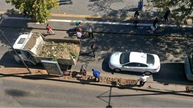 Yeşillendirme &Ccedil;alışmaları S&uuml;r&uuml;yor 1