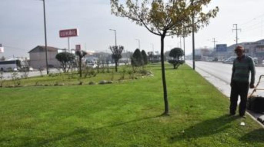 &Ouml;zt&uuml;rkler Kavşağında &Ccedil;evre D&uuml;zenlenmesi