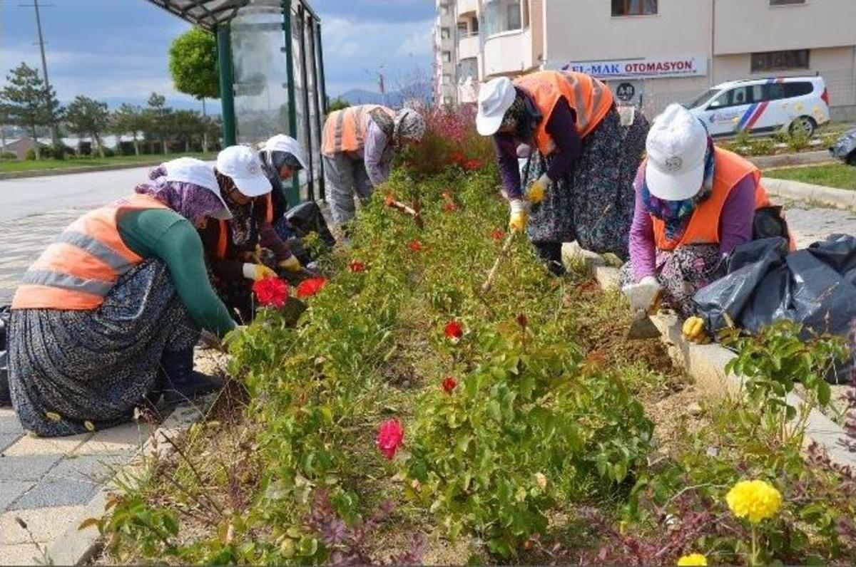 Boz&uuml;y&uuml;k&rsquo;teki Parklarda Sonbahar G&uuml;zelliği