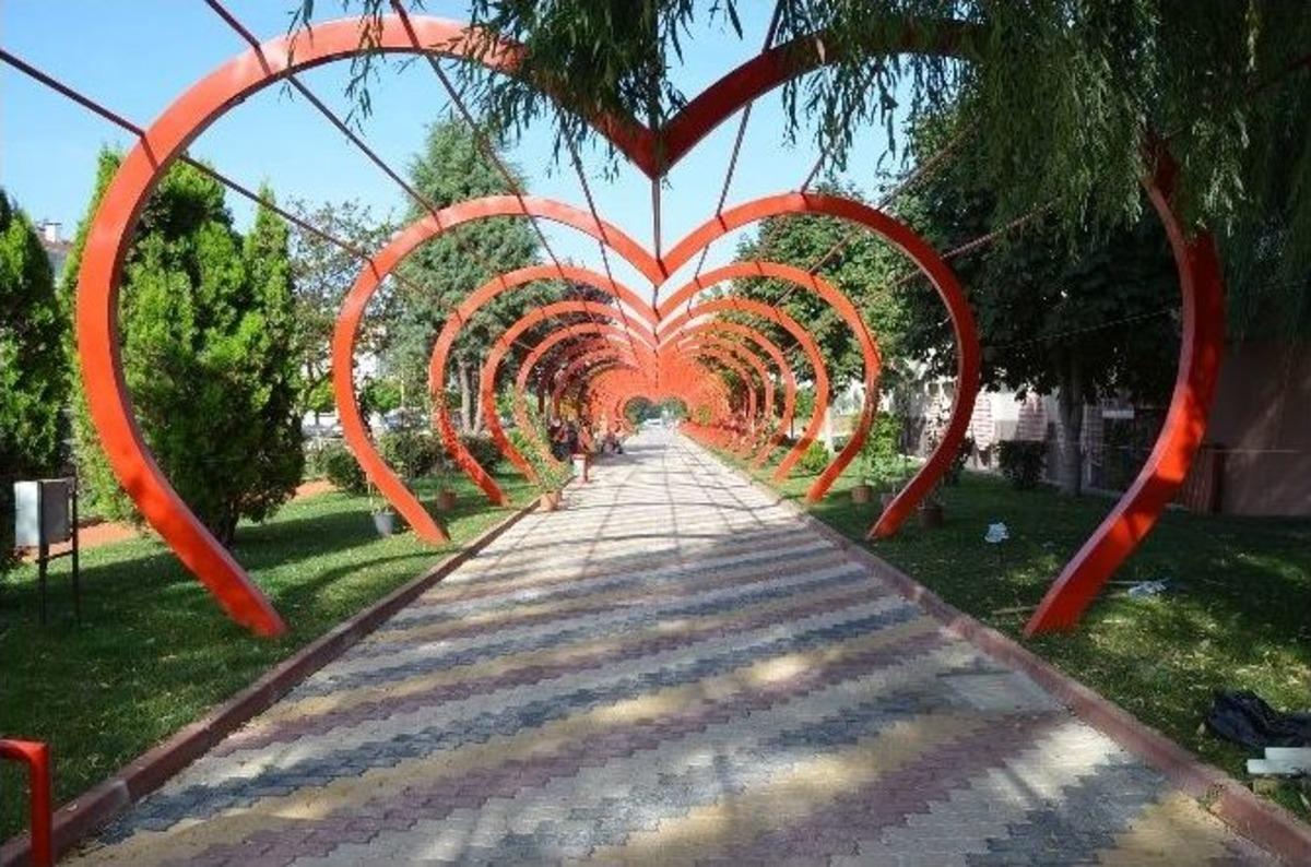 Sevgi Yolu&rsquo;na 7 &Ccedil;eşit Sarmaşık Dikildi