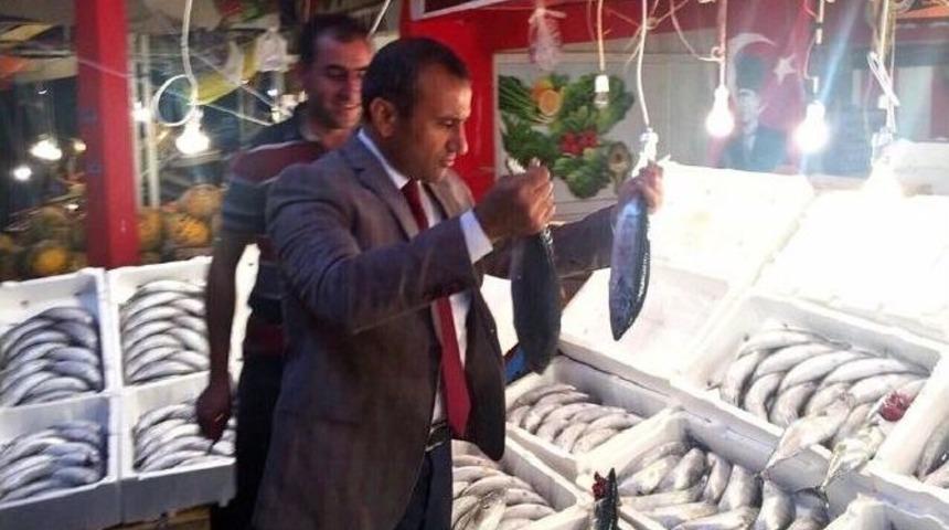 Kaymakam, Ko&ccedil;tan Sonra Şimdi De Palamut Dağıttı