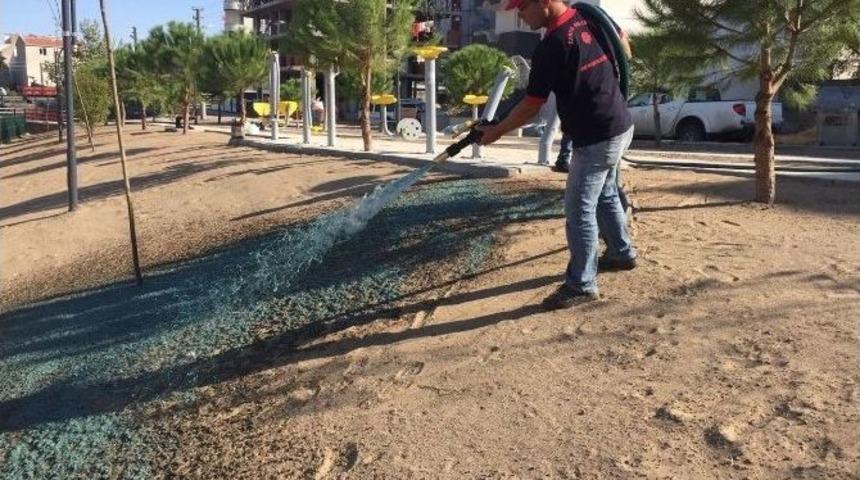 Teknoloji İle &Ccedil;im Ekimi