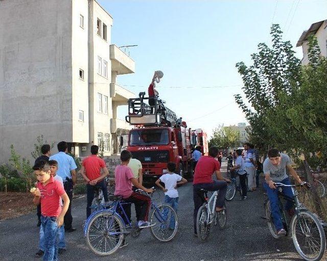 Odunlukta Çıkan Yangın Paniğe Neden Oldu