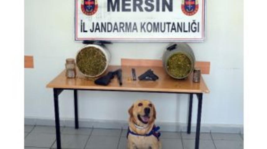 Anamur&rsquo;da Uyuşturucu Operasyonu: 2 Tutuklama