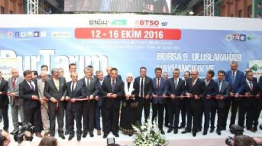Bursa Tarım Ve Hayvancılık Fuarları Kapılarını A&ccedil;tı