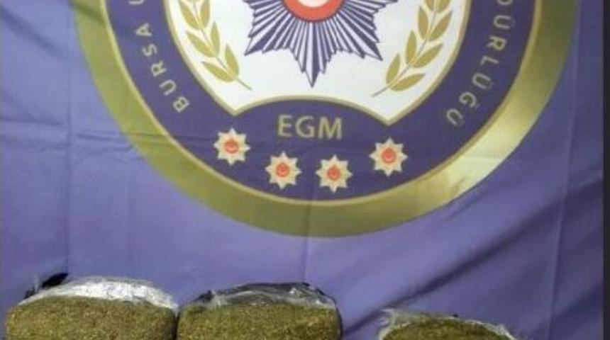 Bursa&rsquo;da 25 Kilo Esrar Ele Ge&ccedil;irildi