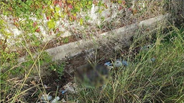 Kayıp Kadının Cesedi 21 Gün Sonra Sulama Kanalında Bulundu