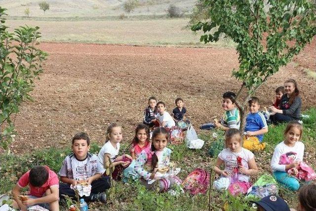 Yavrukurt İzci Ünitesi’nden Doğa Yürüyüşü