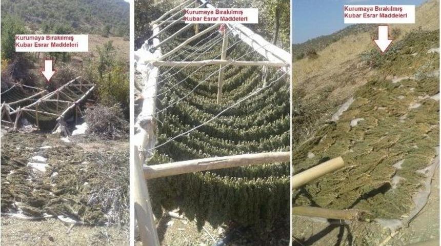 Diyarbakır&rsquo;da 306 Kilo Esrar Ele Ge&ccedil;irildi