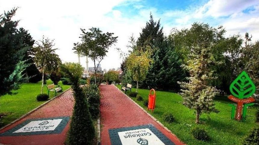 &Ccedil;ankaya&rsquo;nın Parkları Yenileniyor