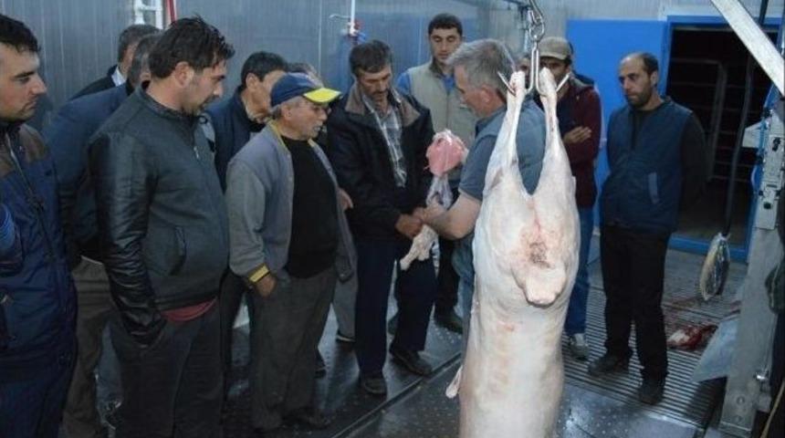 İvrindili Vatandaşlar Kasaplık &Ouml;ğrendi