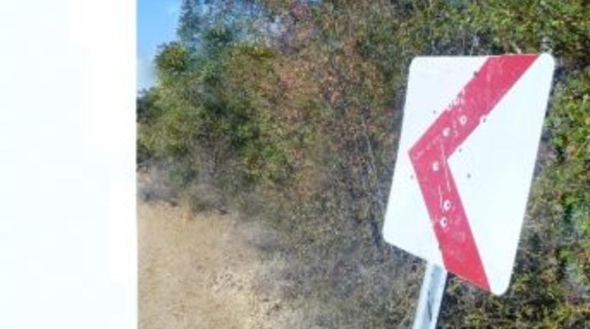 Şehir Magandaları Trafik Levhaları Tahrip Ediliyor