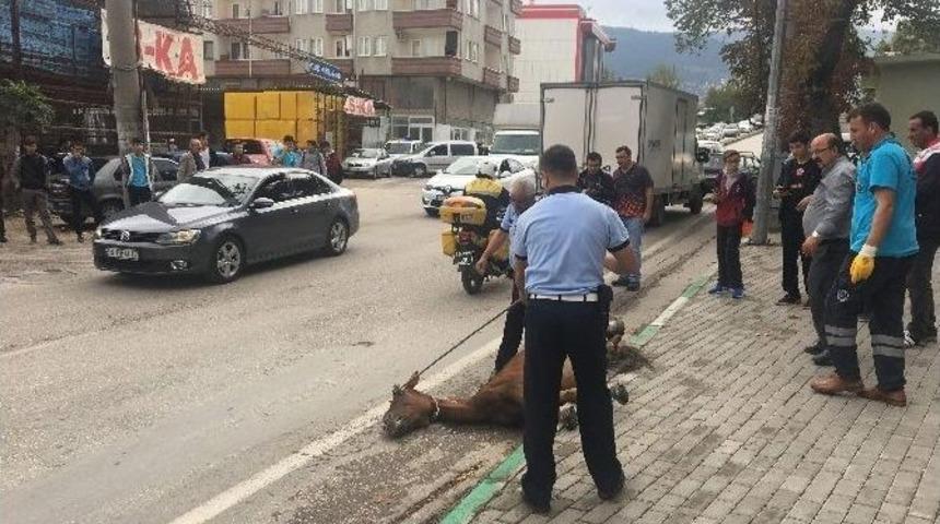 Bursa&rsquo;da A&ccedil;lıktan Yere Yığılan Ata Operasyon