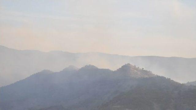 Şırnak’ta Terör Örgütü Pkk’ya Büyük Operasyon