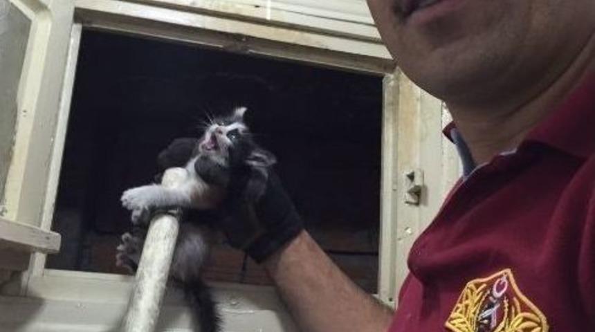 Yavru Kedi İtfaiye Ekipleri Tarafından Kurtarıldı