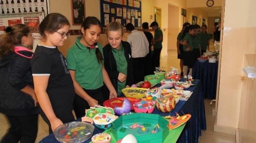 Gkv&rsquo;lilerden Bitki Ve Hayvan H&uuml;cre Maketleri Sergisi