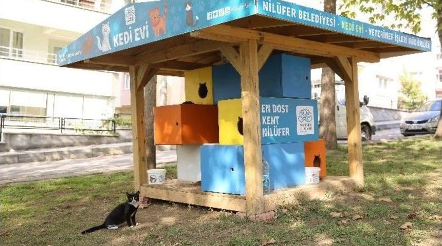 Can Dostları Nilüfer’de Güvende