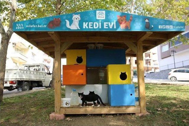 Can Dostları Nilüfer’de Güvende 2