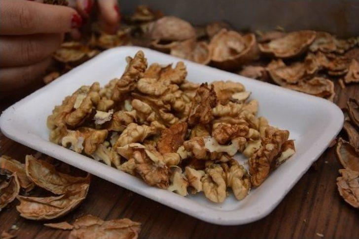 Niksar’da “altın Ceviz” Seçmeleri Yapıldı G4