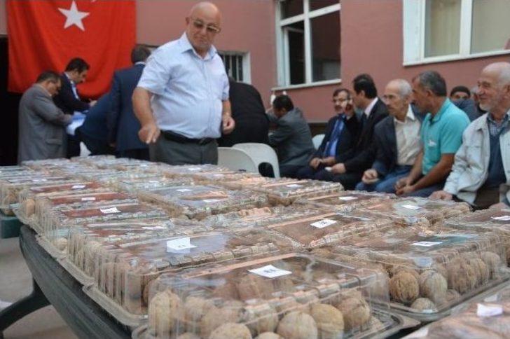 Niksar’da “altın Ceviz” Seçmeleri Yapıldı G5