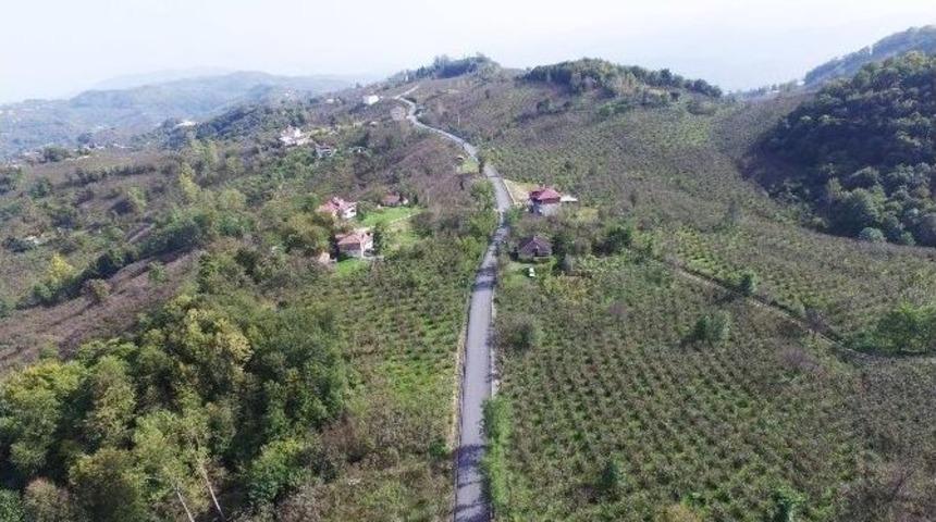 Mahallelerde Asfalt Seferberliği