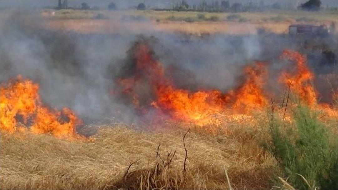 Edremit&rsquo;te Sazlık Yangını