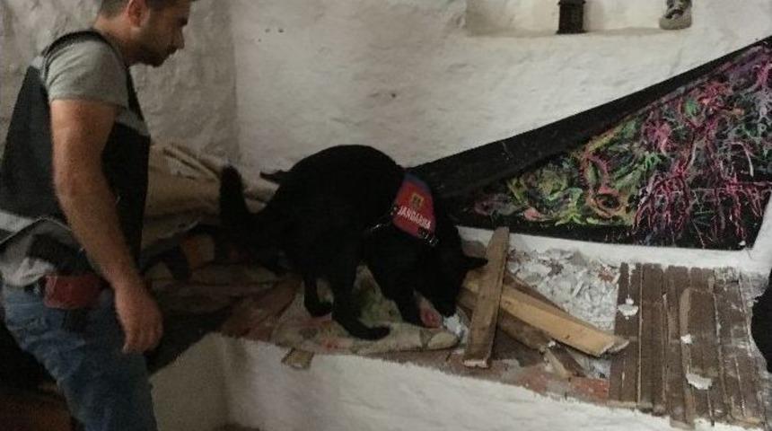 Narkotik K&ouml;peği &ldquo;engel&rdquo; Uyuşturucu Tacirlerinin Korkulu R&uuml;yası