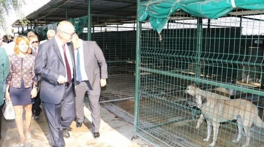 Başkan Erg&uuml;n Akhisar&rsquo;da Yapımı S&uuml;ren Hayvan Barınağını İnceledi