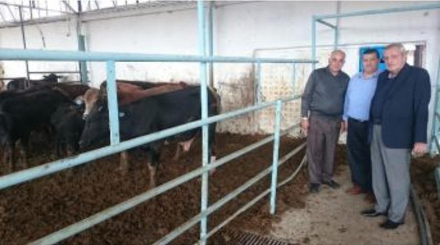 Brezilya&rsquo;dan İthal Angus Ve Brangus&rsquo;lar Sahiplerine Dağıtıldı