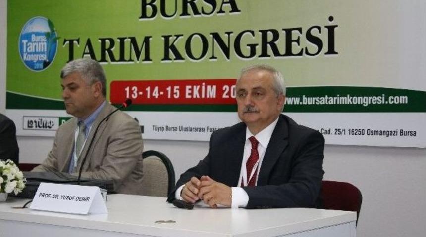 Su, Savaşlardan &Ccedil;ok Daha &Ouml;nemli Bir Krizi Oluşturuyor